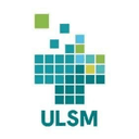 SMI Logo