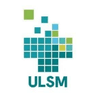 SMI Logo